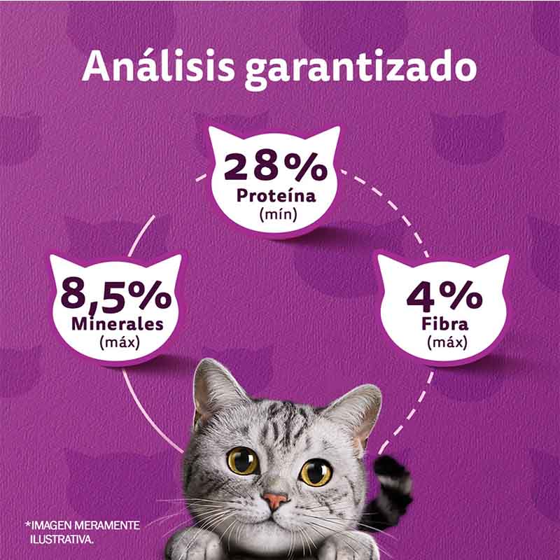 whiskas-alimento-seco-para-gato-adulto-sabor-pollo