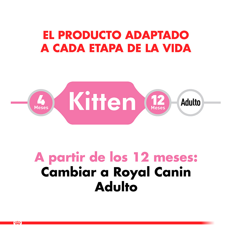 royal-canin-kitten