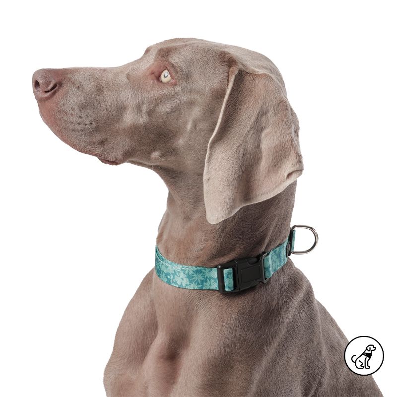 totto-pets-collar-ajustable-perro-mylu-verde