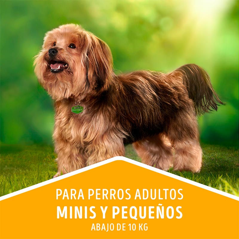 dog-chow-adulto-minis-y-pequenos-carne-y-pollo