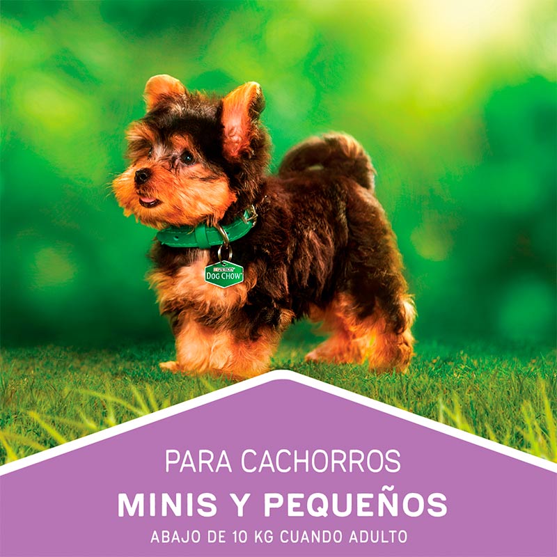 dog-chow-cachorro-minis-y-pequenos