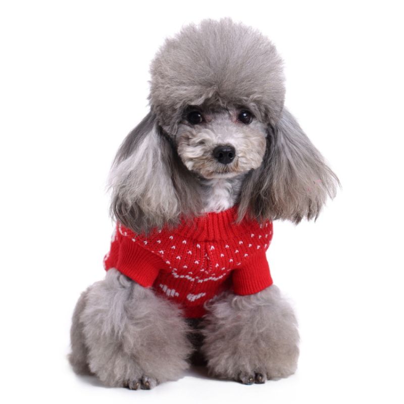 valentin-for-pets-sueter-rojo-navideno