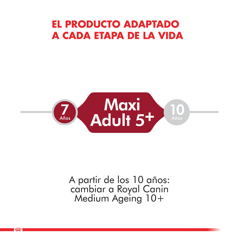 royal-canin-medium-adulto-7