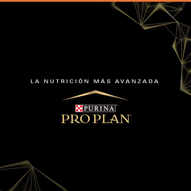 pro-plan-dog-sensitive-skin-salmon-optiderma-raza-pequena