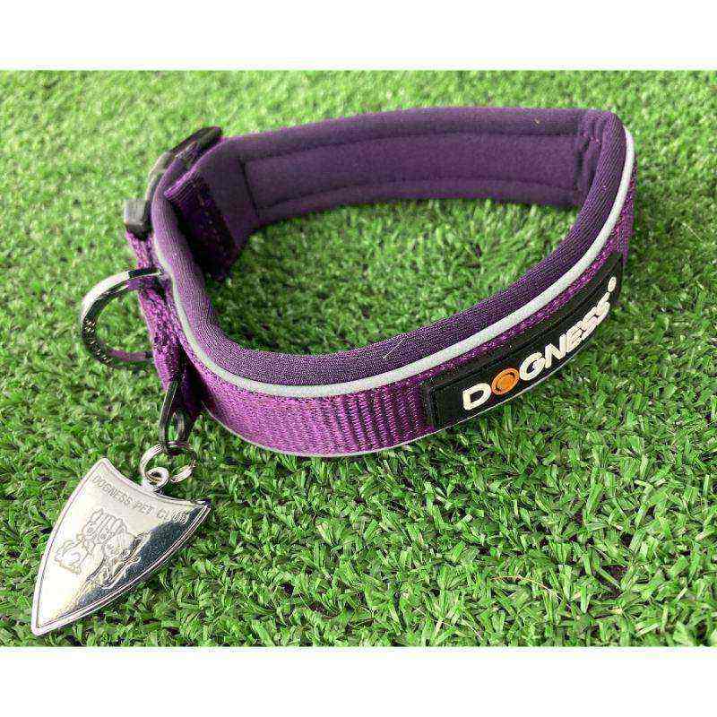 dogness-collar-classic-morado-perro