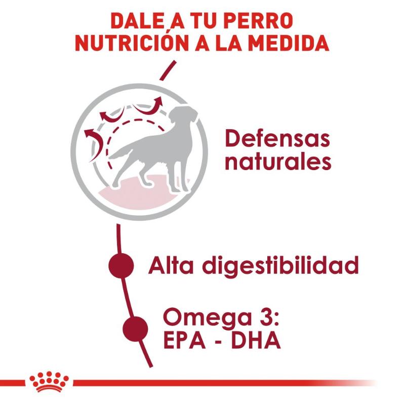 royal-canin-alimento-seco-para-perro-adulto-talla-mediana