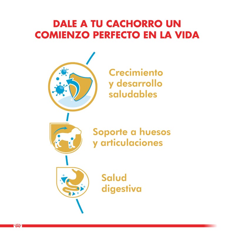 royal-canin-alimento-seco-perro-cachorro-dachshund-puppy