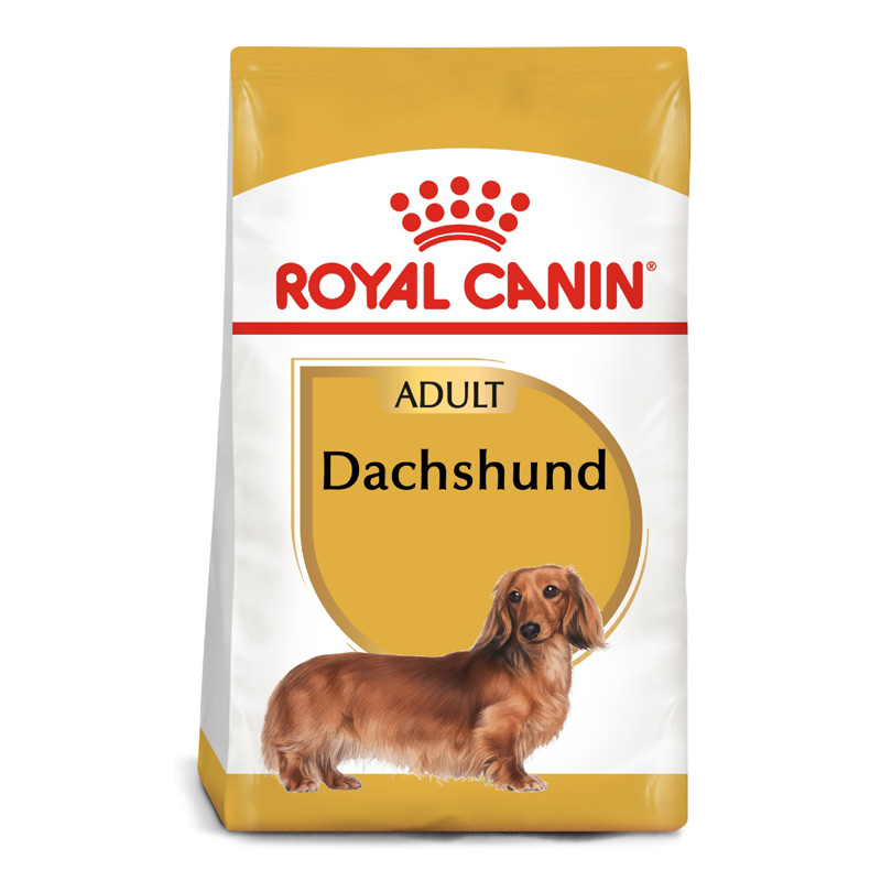 Royal Canin - Alimento Adulto Dachshund