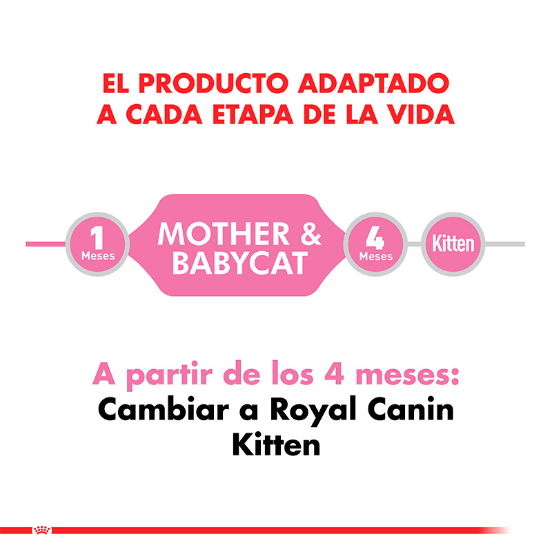 royal-canin-alimento-para-gatitos-yo-gatas-en-gestacion-y-lactancia-mother-and-babycat