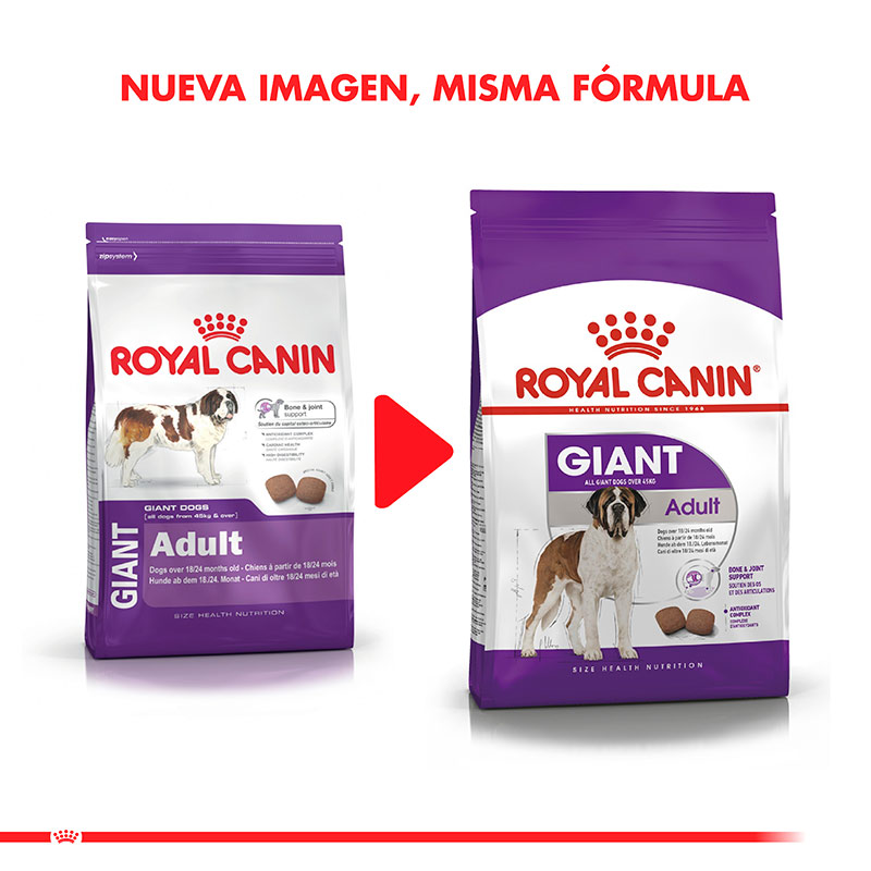 royal-canin-giant-adulto