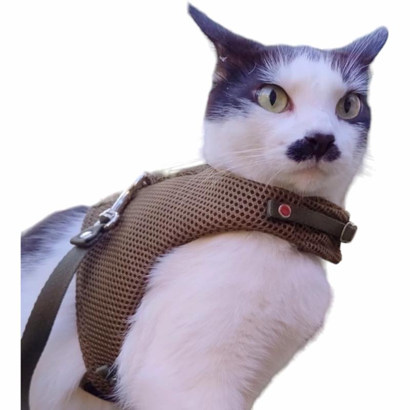 meow-design-pechera-para-gatos-sport-verde-militar