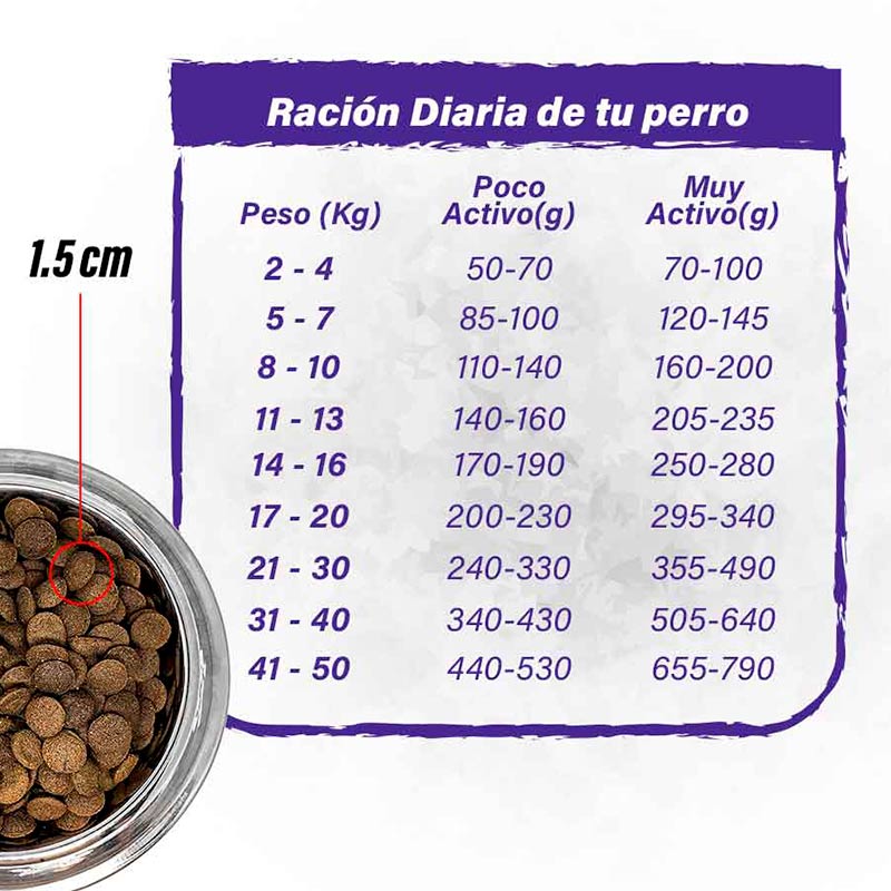 barfood-deshidratado-salmon-perro
