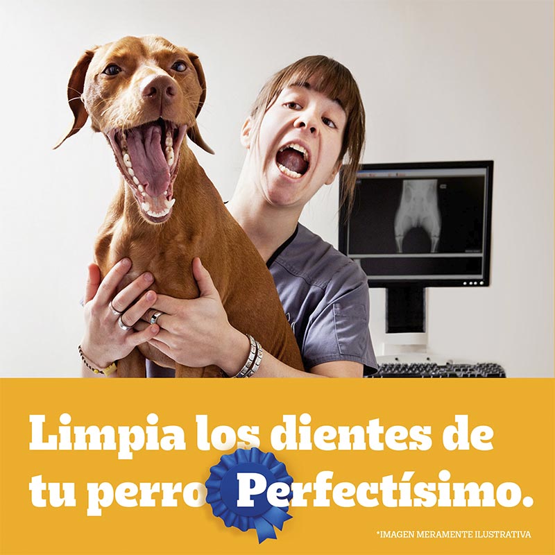 pedigree-dentastix-cuidado-oral-perro-raza-grande-7-barras