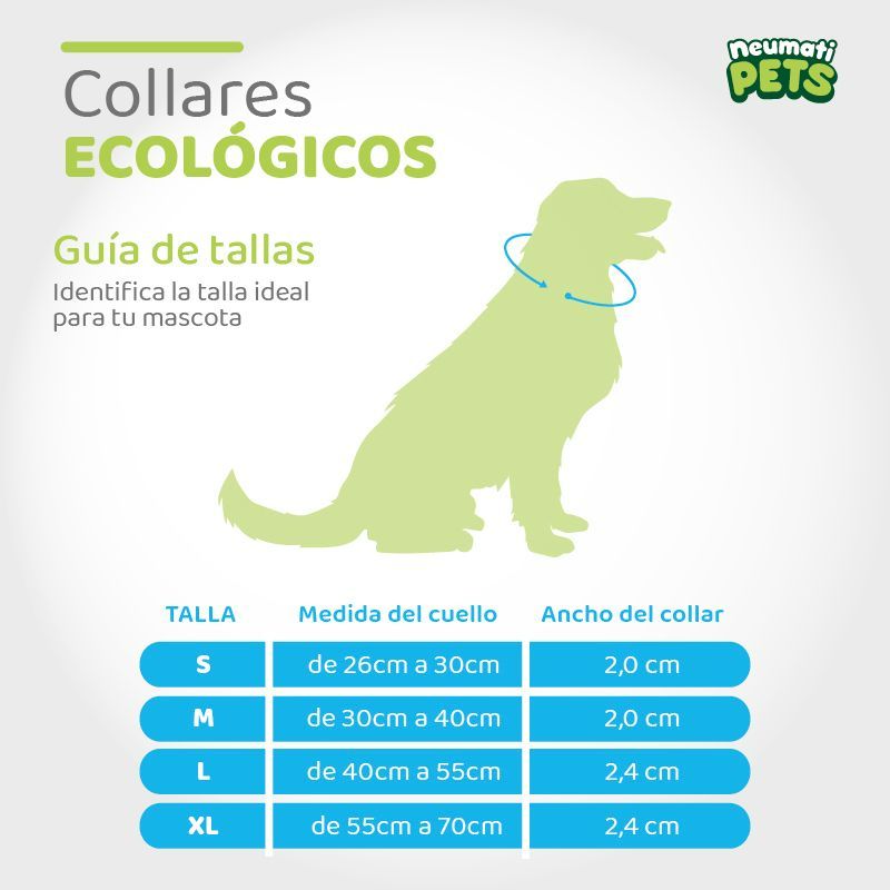 neumatipets-collar-ecologico-diseno-nachos-con-aguacates