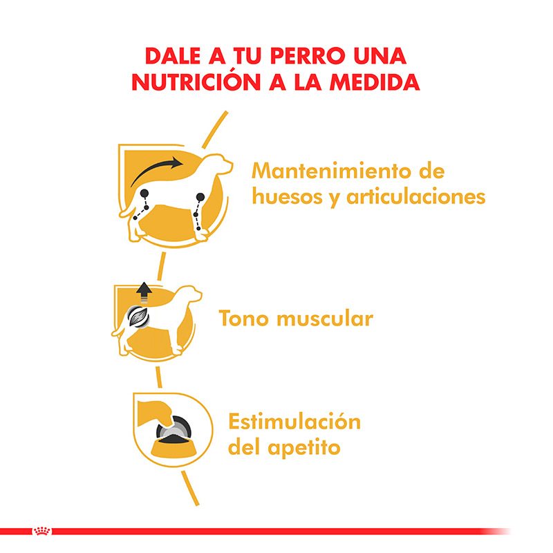royal-canin-alimento-humedo-perro-adulto-dachshund