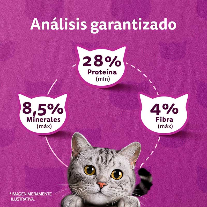 whiskas-alimento-seco-para-gato-adulto-sabor-carne