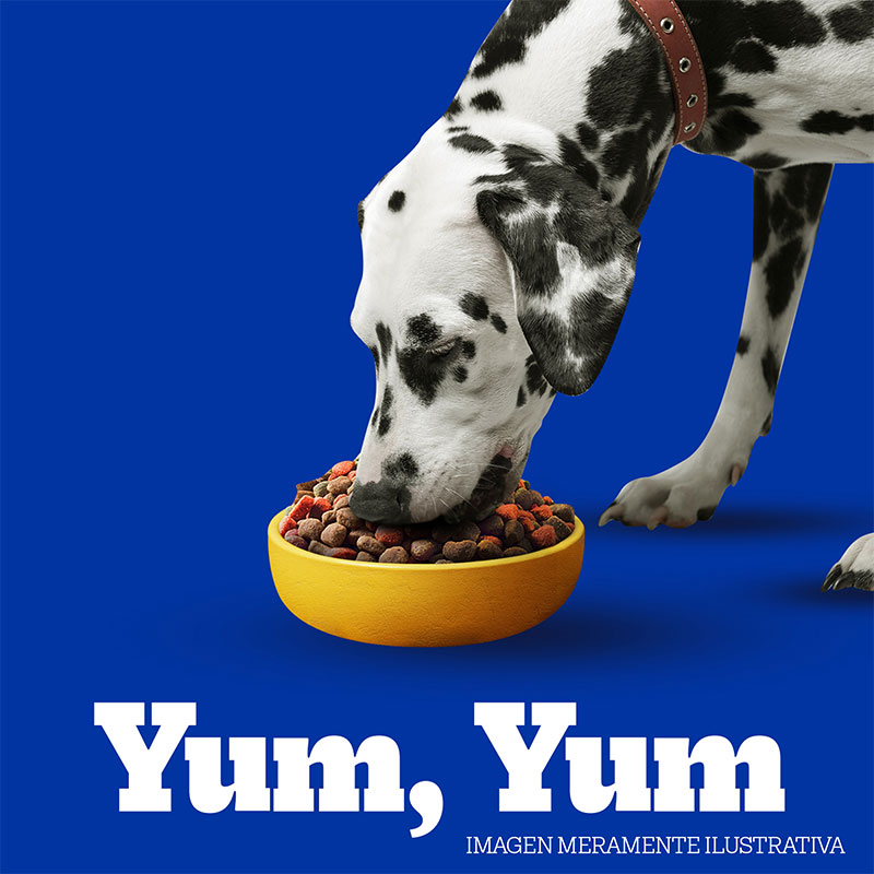 pedigree-alimento-seco-para-perro-adulto-mayor-7-anos