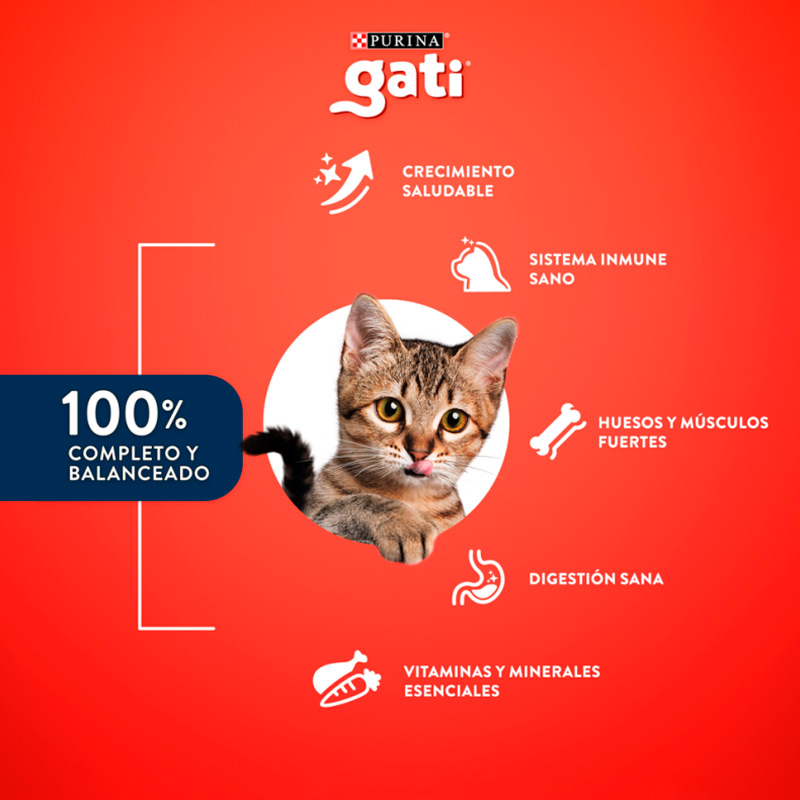 gati-alimento-seco-gatitos-sabor-mix-de-carnes