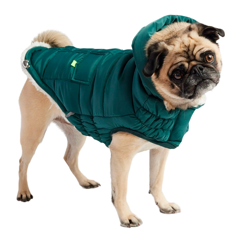 gf-pet-parka-super-puff-verde-azulado