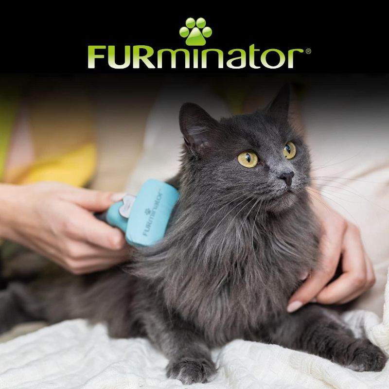 furminator-deslanador-pelo-corto-para-gato-chico