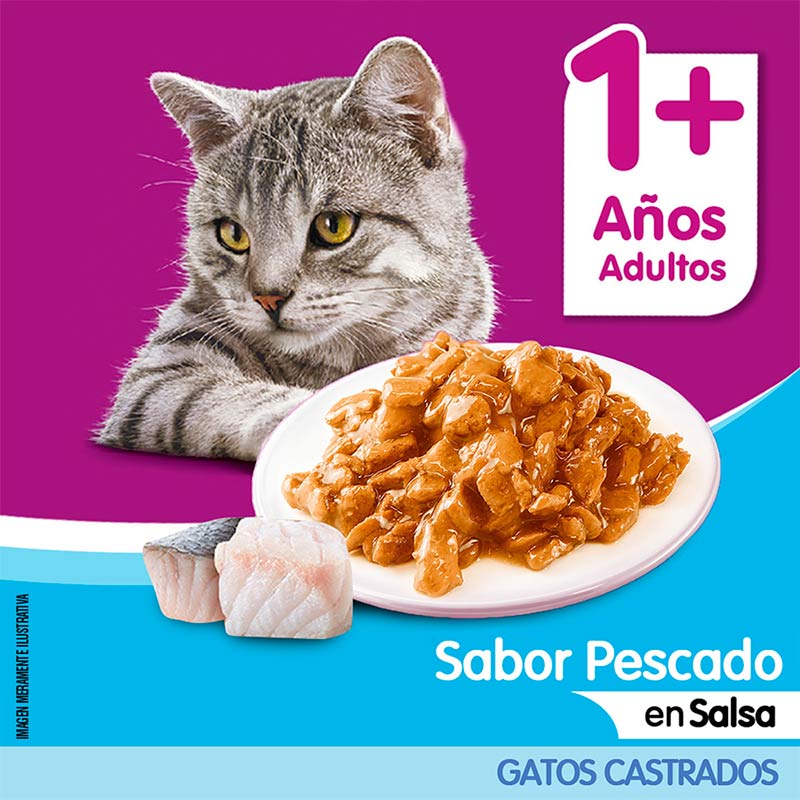 whiskas-alimento-humedo-sobre-gatos-castrados-pescado