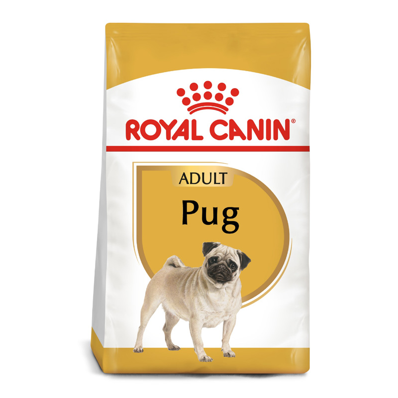 Royal Canin - Alimento Adulto Pug