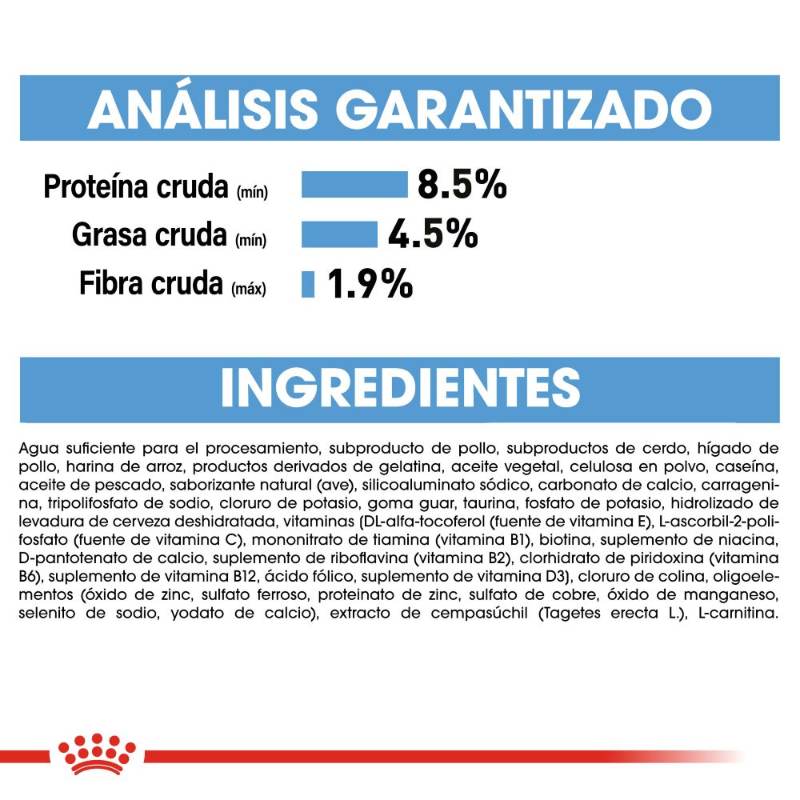 royal-canin-starter-mousse-lata