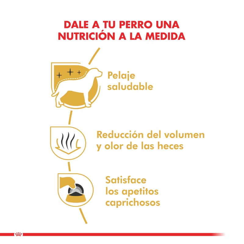 royal-canin-alimento-seco-perro-adulto-maltes