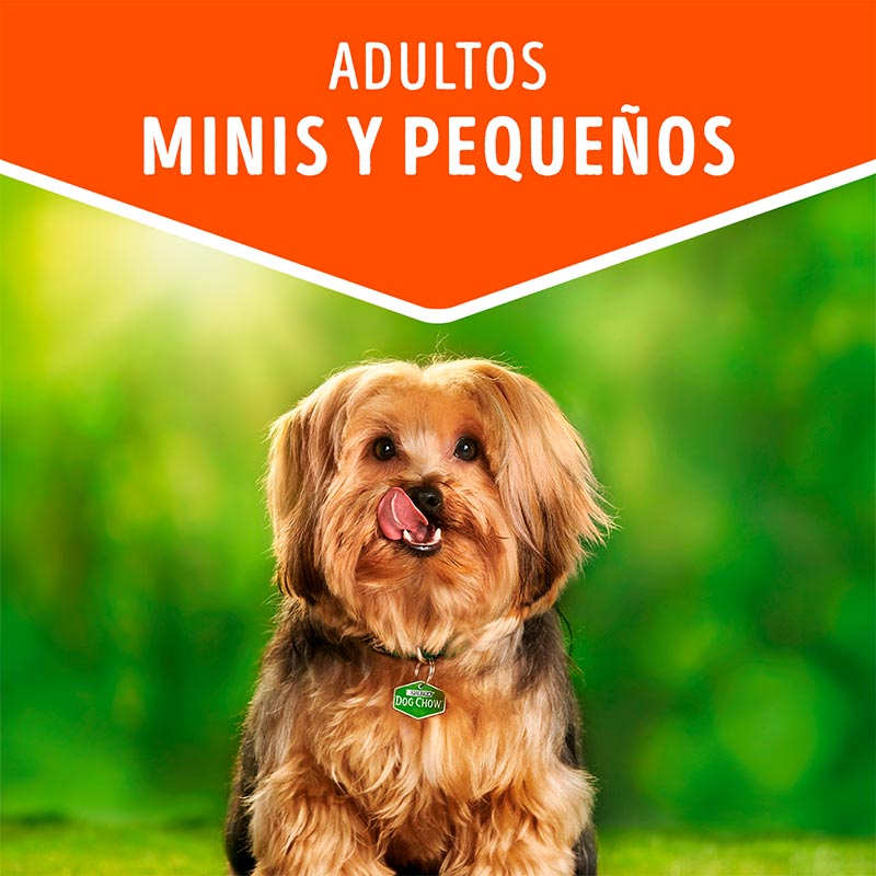 dog-chow-adultos-minis-y-pequenos-carne