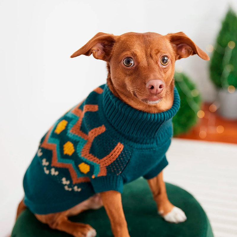 gf-pet-sweater-heritage-verde-azulado