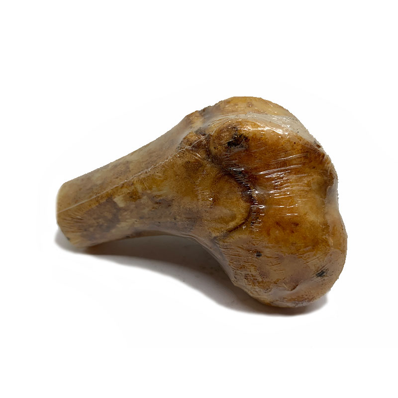 natural-toys-mini-femur