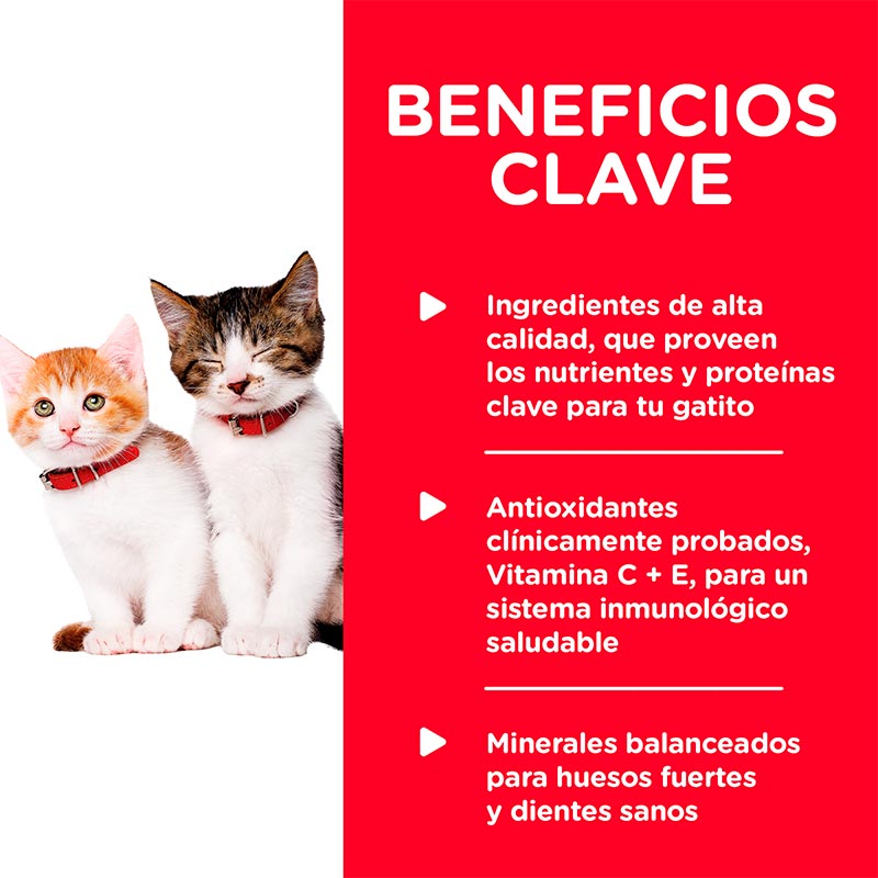 hills-science-diet-kitten-liver-chicken-entree-recipe-cat-lata