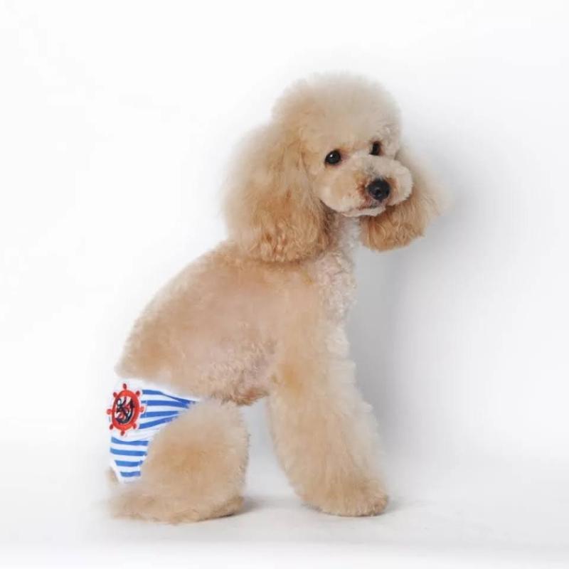 valentin-for-pets-panty-panal-lavable-azul-banco-entrega-4-dias-habiles