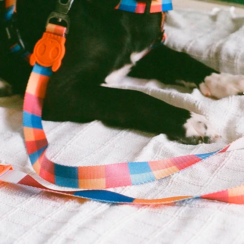 zeedog-parker-leash