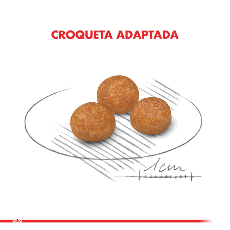 royal-canin-x-small-adulto