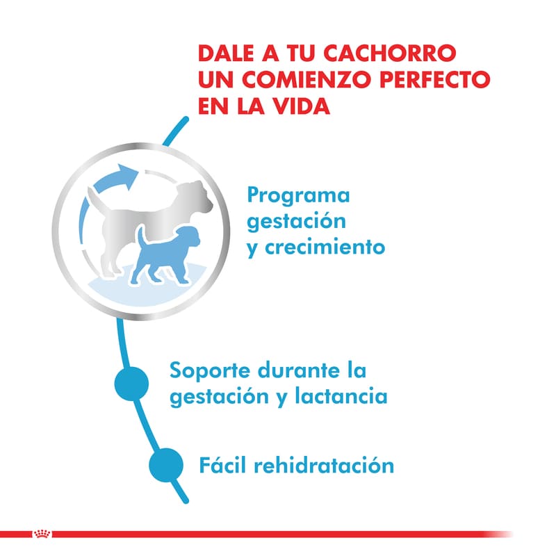 royal-canin-alimento-seco-perro-starter-mini
