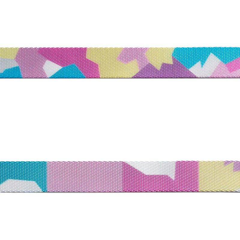 zeedog-candy-leash