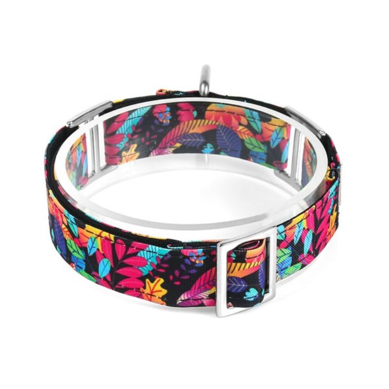 bellcher-collar-martingale-hawai-pop-5-cm