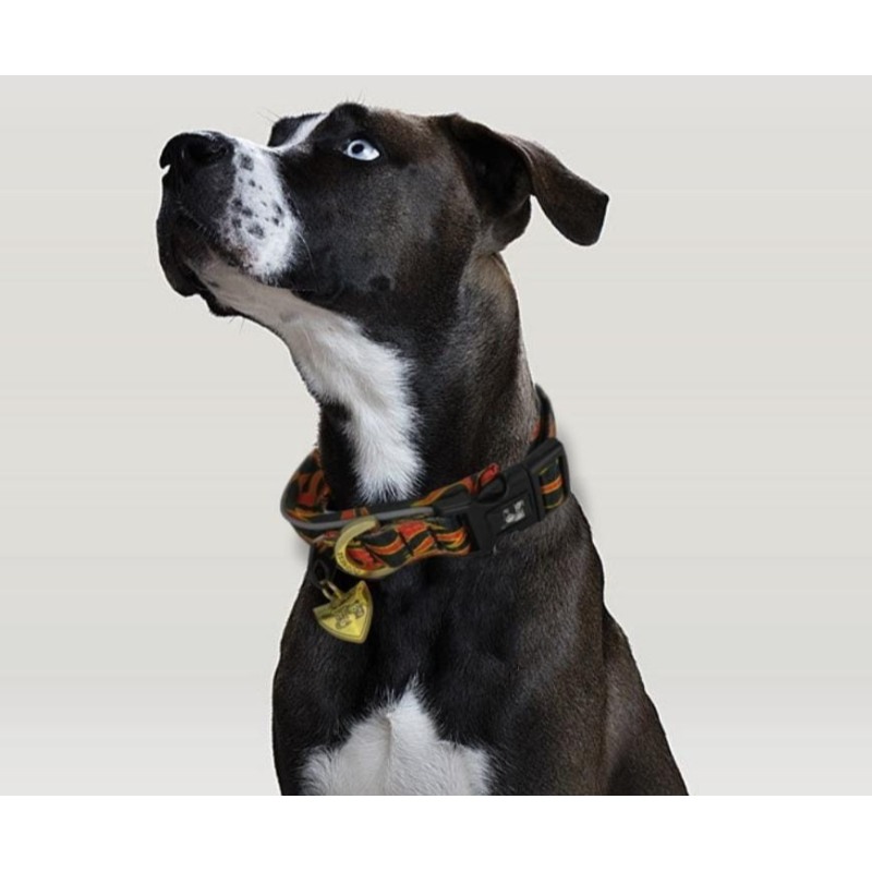 dogness-collar-classic-flamas-para-perro