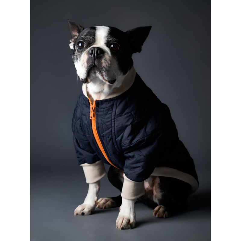 the-striped-dog-chaqueta-impermeable-star-azul