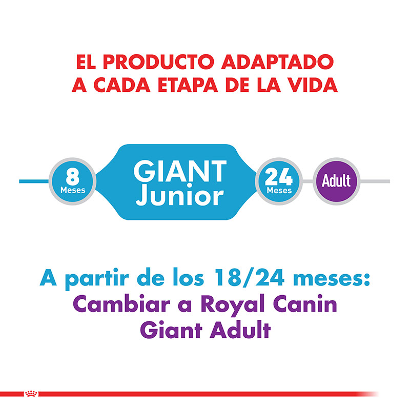 royal-canin-giant-junior