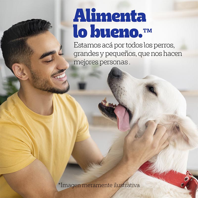 pedigree-alimento-humedo-sobrecito-perro-adulto-pollo