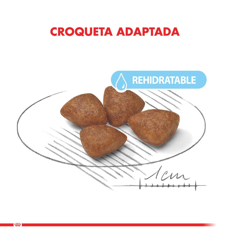 royal-canin-alimento-seco-perro-starter-mini
