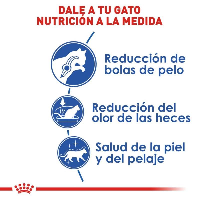 royal-canin-alimento-seco-indoor-gato