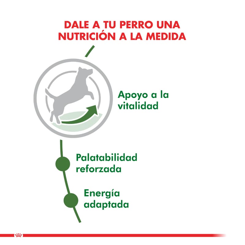 royal-canin-mini-adulto-8
