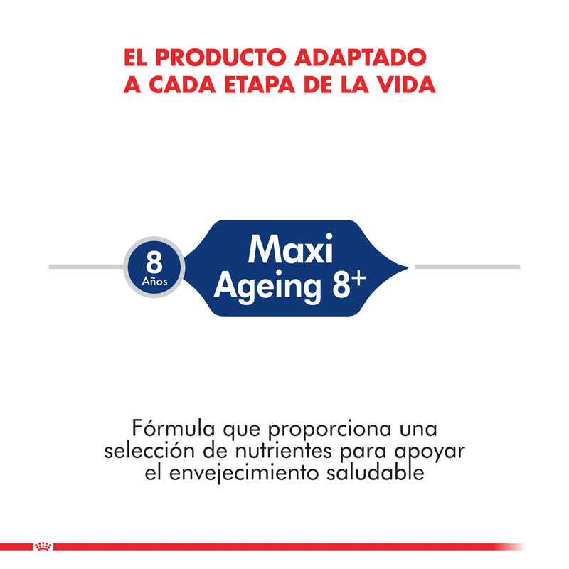 royal-canin-maxi-adulto-8-ageing