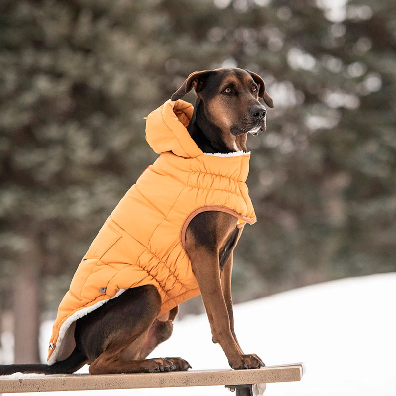 gf-pet-parka-super-puff-amarillo