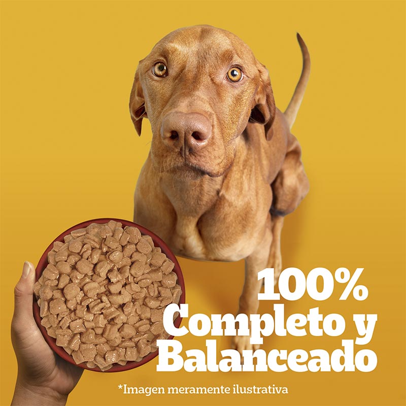 pedigree-alimento-humedo-sobrecito-perro-adulto-pollo