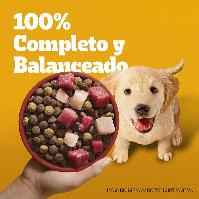 pedigree-alimento-seco-para-perro-cachorro