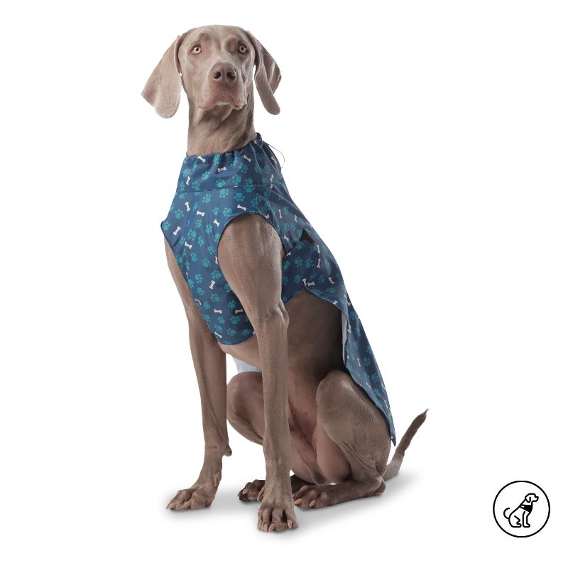 Totto Pets - Capa de Lluvia para Perro Sussy Azul